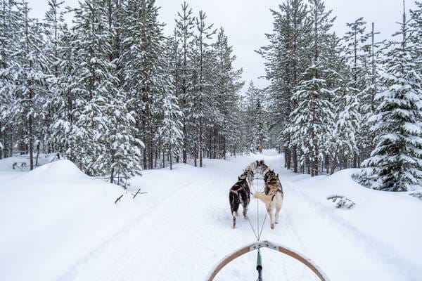 Winterpret-in-Dalarna-Zweden-Foto-Bas-van-Oort