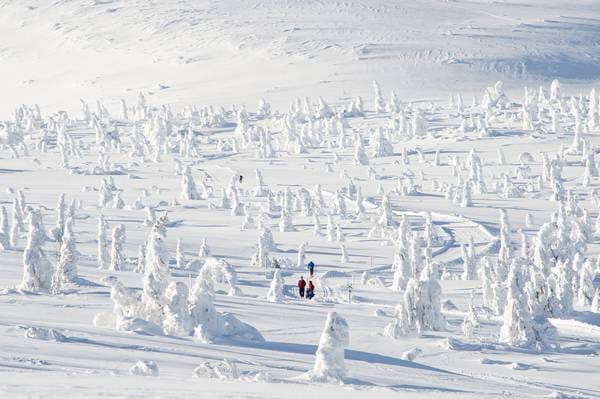 In de omgeving kun je prachtig langlaufen - Foto Skistar