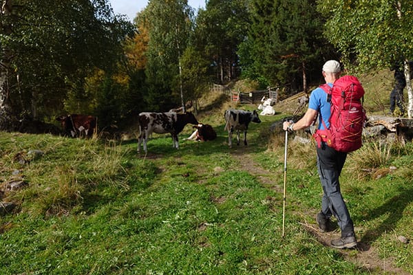 Wandelen door de rustige Noorse provincie Trøndelag